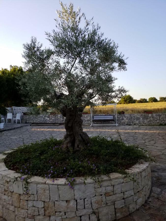 Apartamento Dimora Del Sole Putignano Exterior foto